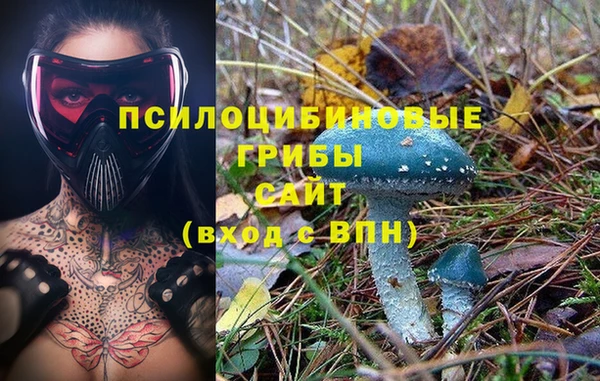 стафф Краснотурьинск