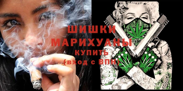 индика Красноперекопск