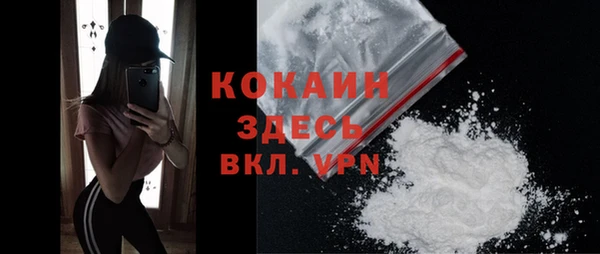 индика Красноперекопск