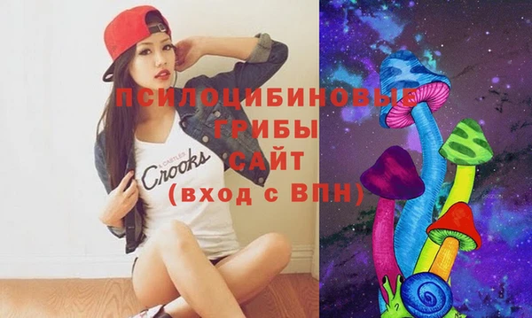 индика Красноперекопск