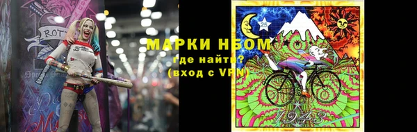 индика Красноперекопск